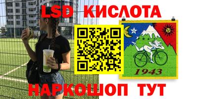 винт Бийск