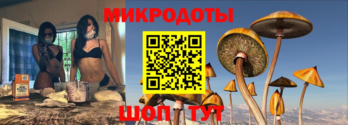 Псилоцибиновые грибы мухоморы Калининград