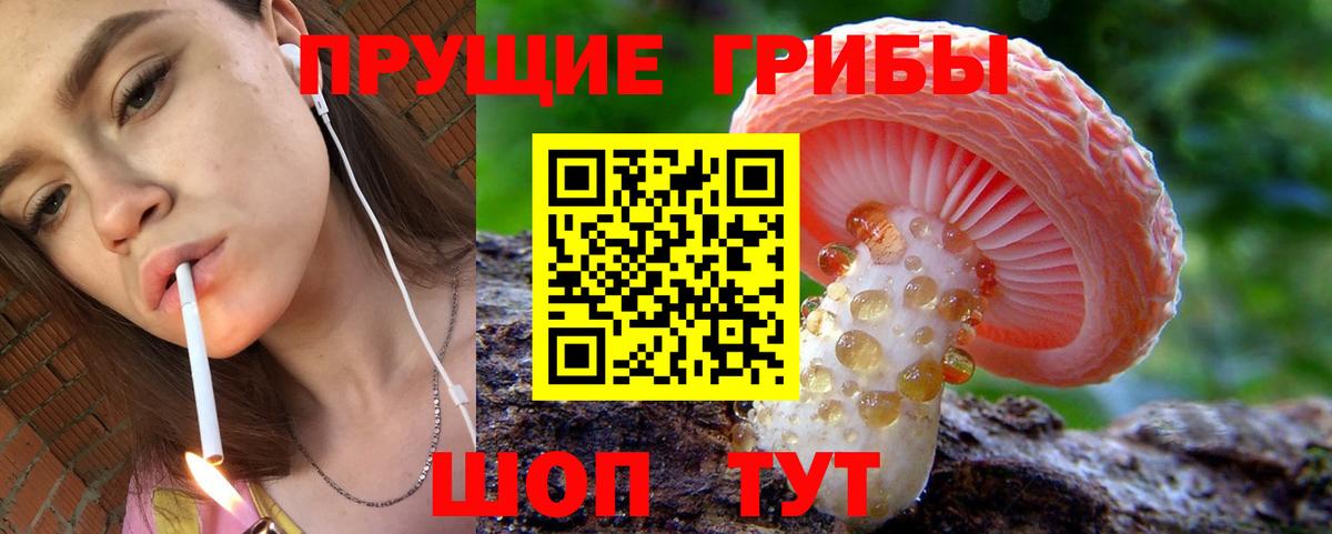 Галлюциногенные грибы Cubensis  Вход с VPN  Калининград 